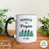 Promoted To Papa Est. 2023 - Coffee Mug - Gifts For Papa - Papa Mug - familyteeprints