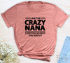 I Am The Crazy Nana Everyone Warned You About - Unisex T-shirt - Nana Shirt - Funny Nana Gift - familyteeprints